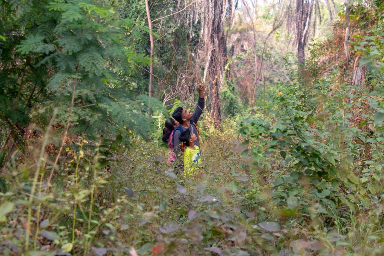 Dera Baghdarrah Nature Retreat أُودايبور المظهر الخارجي الصورة