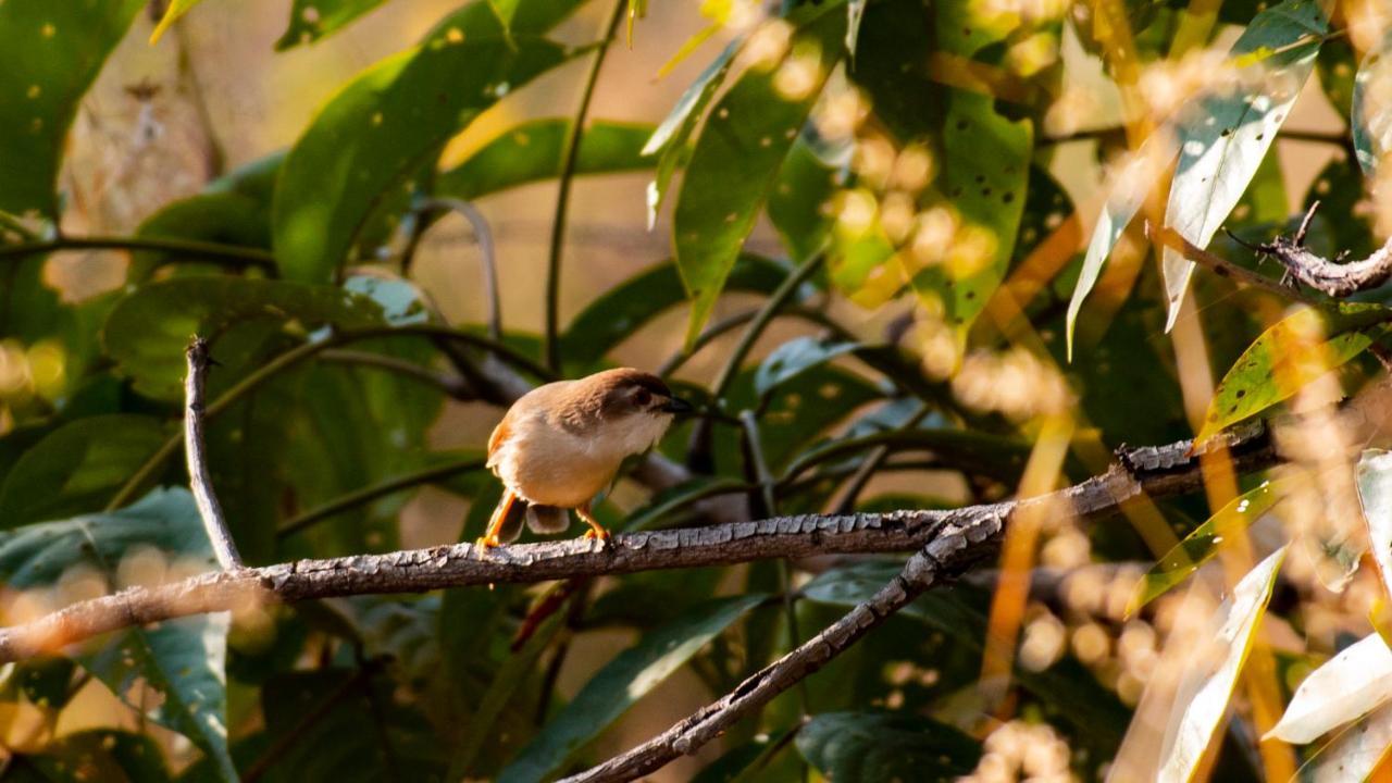 Dera Baghdarrah Nature Retreat أُودايبور المظهر الخارجي الصورة
