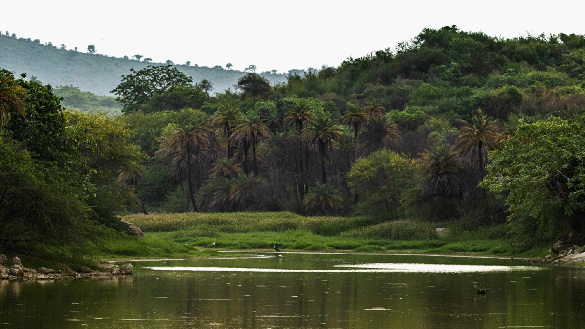 Dera Baghdarrah Nature Retreat أُودايبور المظهر الخارجي الصورة
