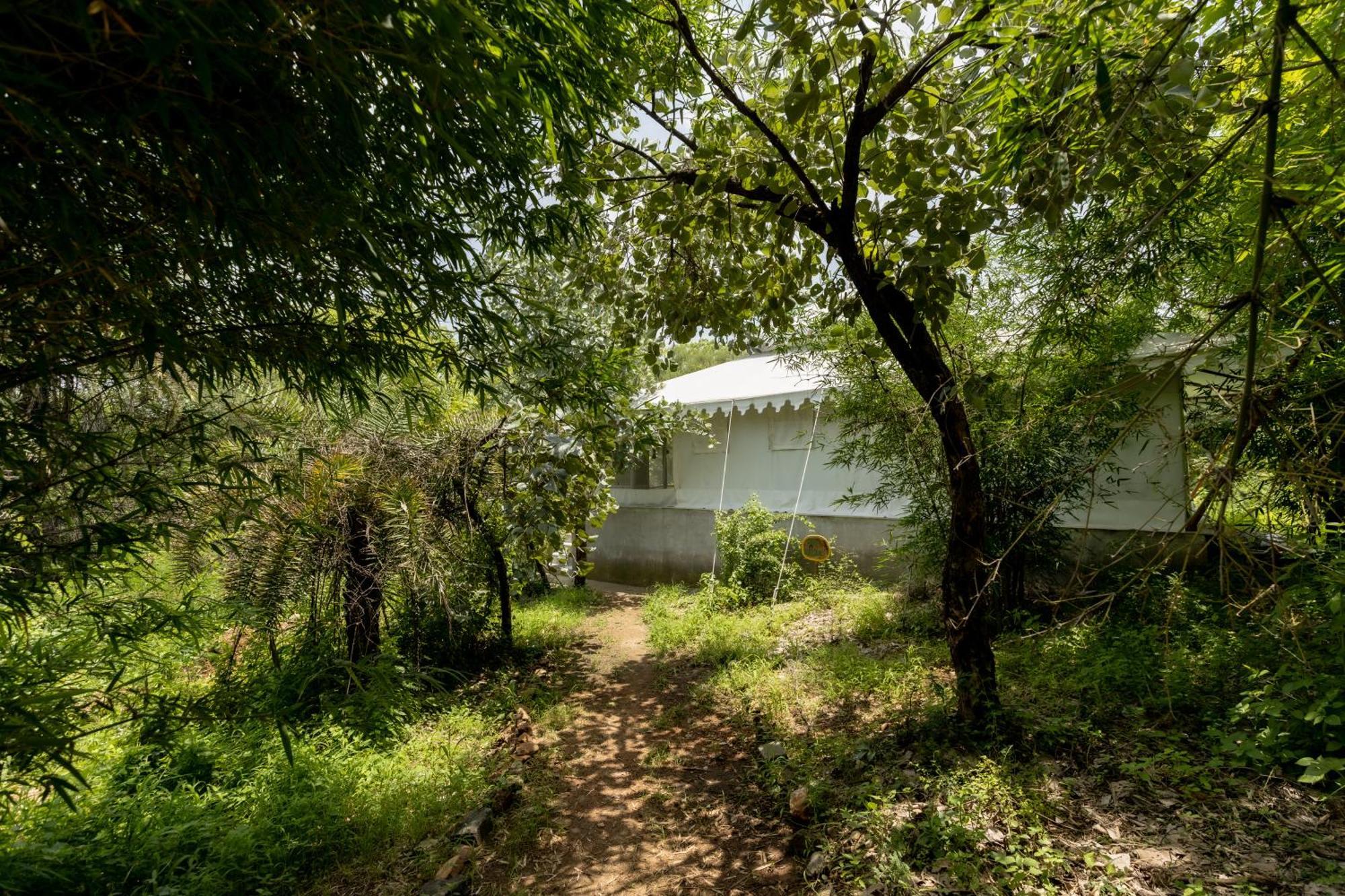 Dera Baghdarrah Nature Retreat أُودايبور المظهر الخارجي الصورة